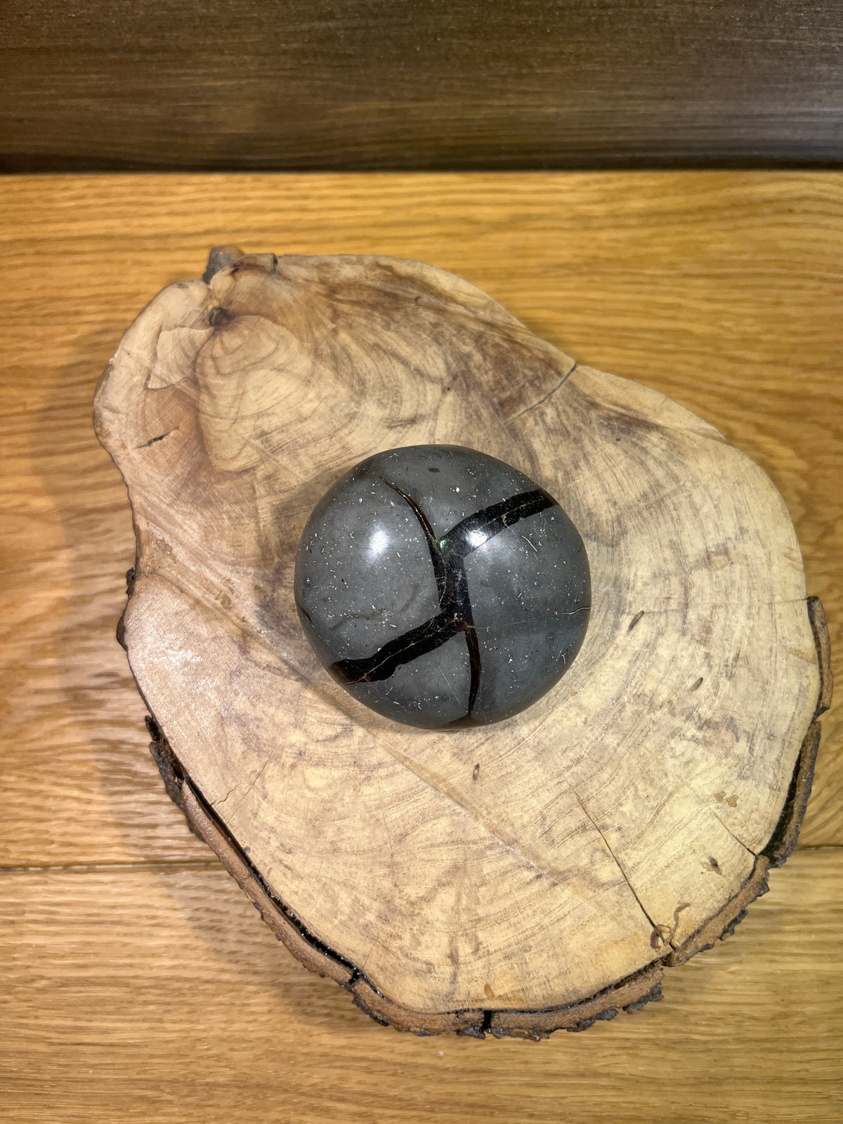Septaria "sauvage"