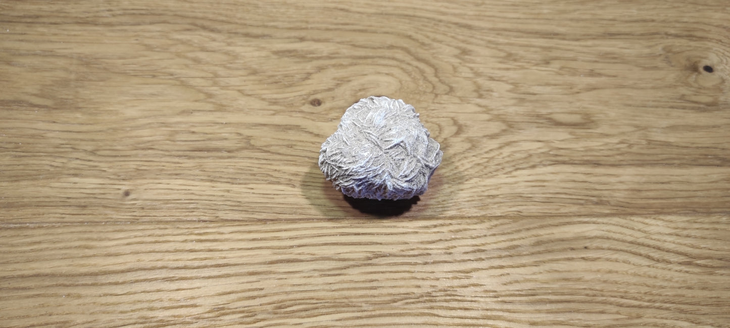 Rose des sables – Gypse naturel-Mexique