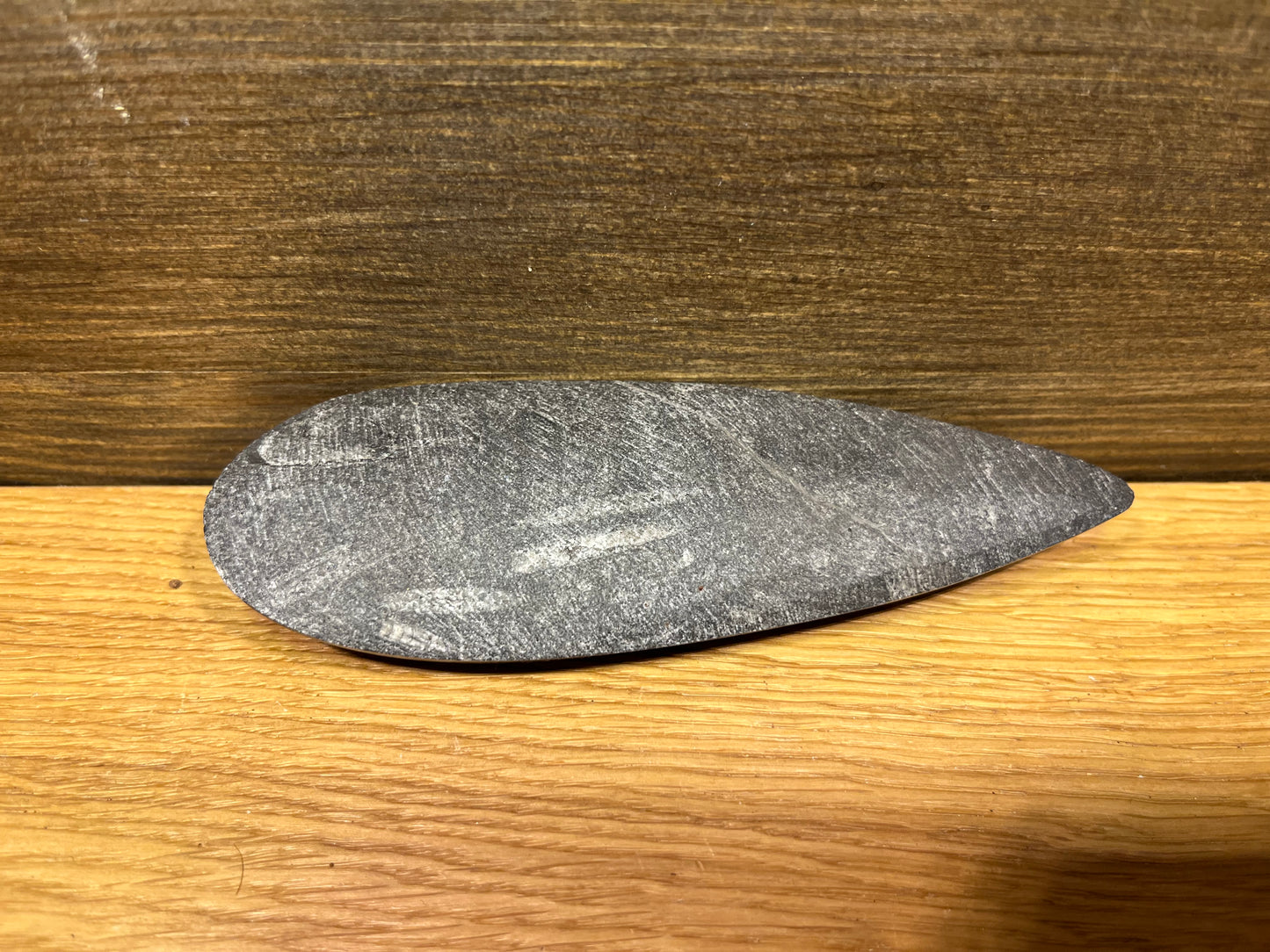 Fossile d'Orthocéras polie – Témoin du Passé